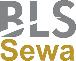 BLS E-Services IPO Logo
