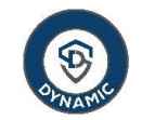 Dynamic Services & Security Limited Logo