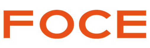 Foce India Limited Logo