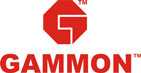 Gammon Infrastructure Projects Ltd Logo