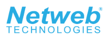 Netweb Technologies India Limited Logo