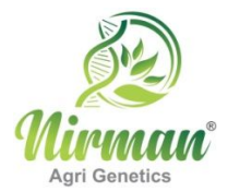 Nirman Agri Genetics Limited Logo