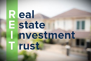 Real Estate Investment Trust (REIT) IPO Explained