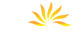 Indorient Financial Services Ltd Logo