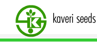 Kaveri Seed Company Limited Logo