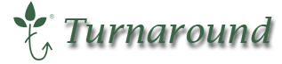 Turnaround Corporate Advisors Private Limited Logo